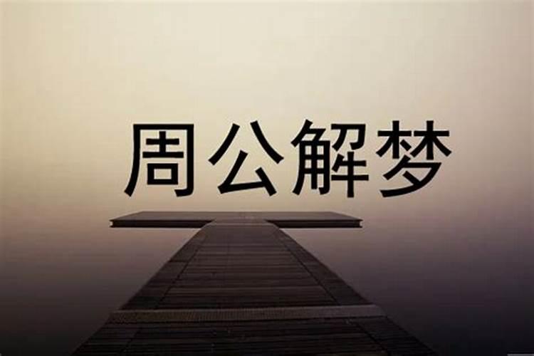生肖猪1995年2025年运势如何 生肖猪1995年2025年全年运势