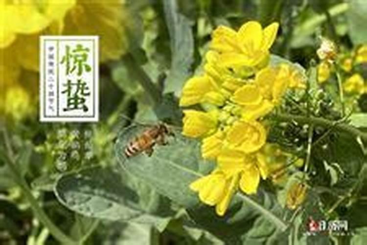 算命中流年是什么意思？
