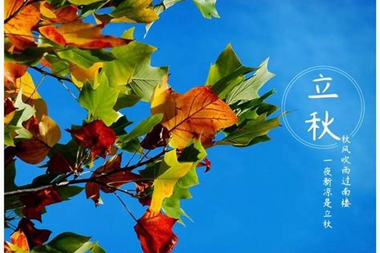幼儿园重阳节来历和节日风俗