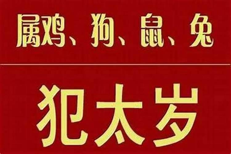 74年属龙2024年犯太岁要注意什么？