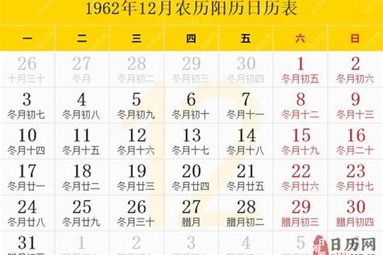 生肖龙2024年运势及运程 不同年份属龙人2024年运势