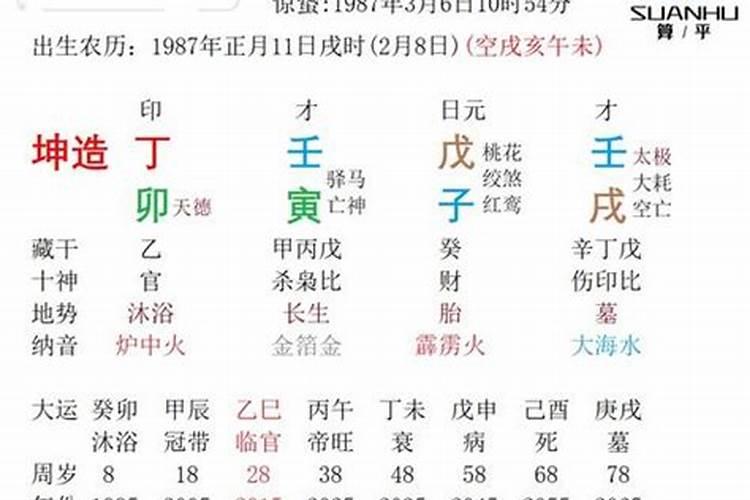 1951年的属兔人2023癸卯年的运势 远离职场生活身体状况较差
