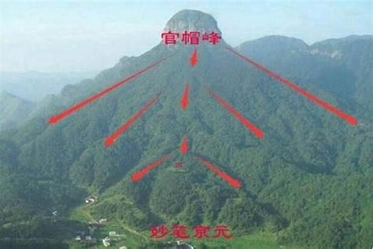 属虎人2025全年运势详解 属虎人2025年每月运势