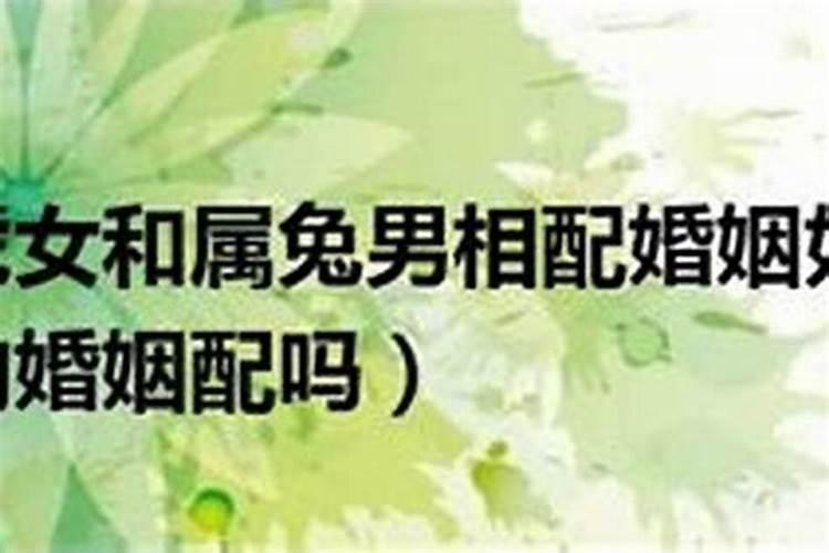 虎和兔在一起对谁不利