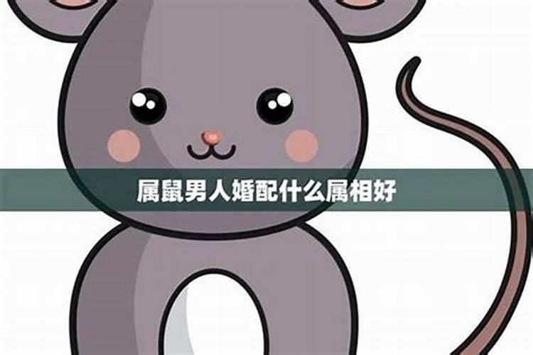 男生属马女生属鼠他们婚姻会怎么样