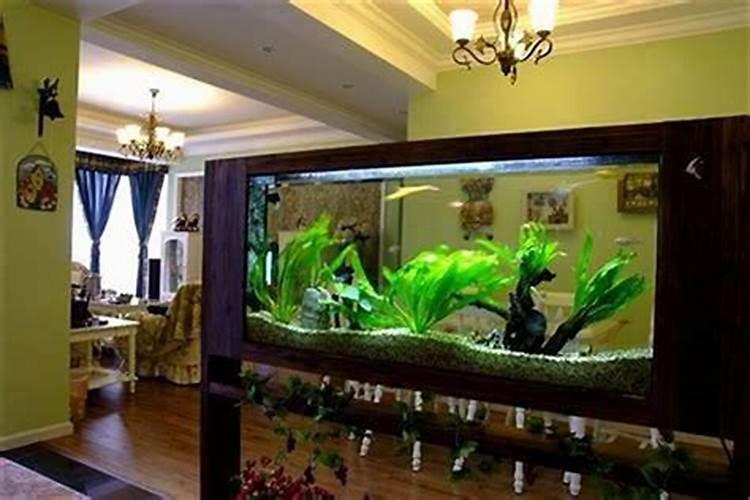 家里摆鱼缸的风水讲究