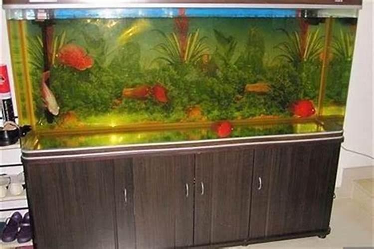常见鱼缸尺寸 家用鱼缸的尺寸与摆放风水