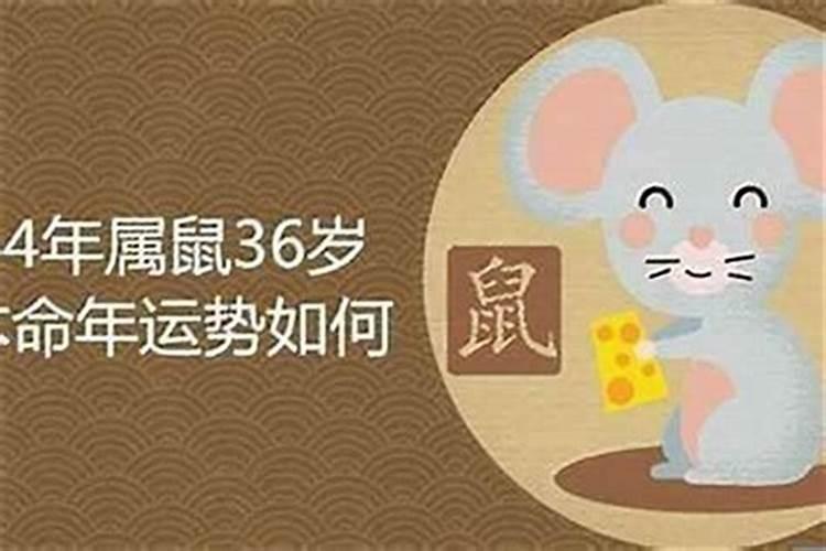 农历1984年12月12日晚8点差不多到9点出生的人命运如何