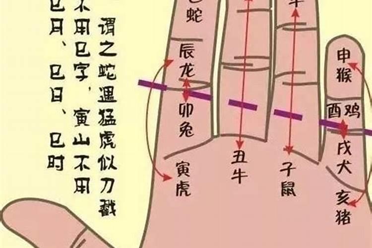 十二属相婚配表相克 相刑相害相冲都是谁？