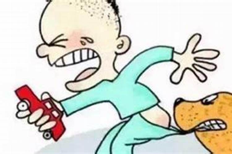 女人梦见狗咬衣服是吉兆