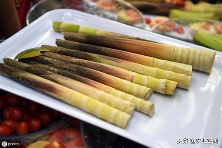 本命年考驾照运气怎么样
