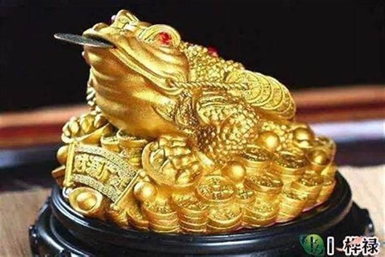 属蛇男和什么属相最配