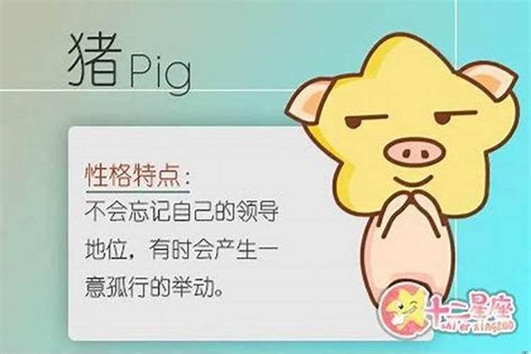 什么叫本命年犯太岁 本命年犯太岁是什么意思