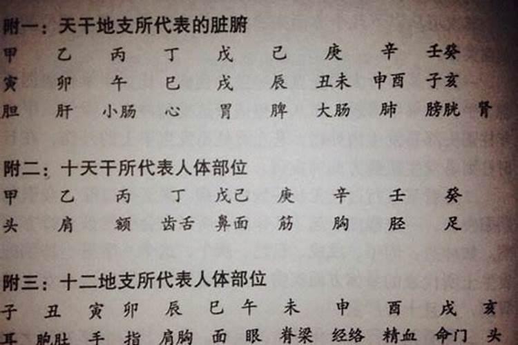 十二生肖文昌位对照表
