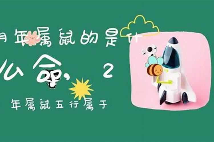 2024年最旺的四个属相 生肖猴鼠2024年犯太岁的生肖有哪几个鸡狗...