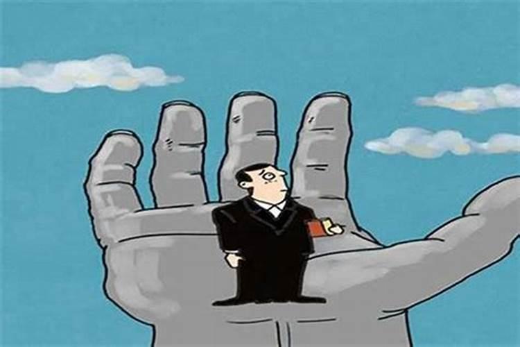 2025年12生肖运势解析