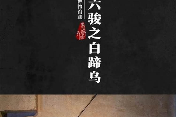 犯太岁拜哪个菩萨
