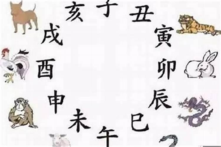生肖合婚:属鼠和属马的婚姻怎么样 相合吗