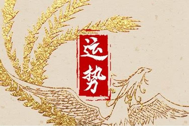 1982年属狗女2025年的运势和婚姻状况