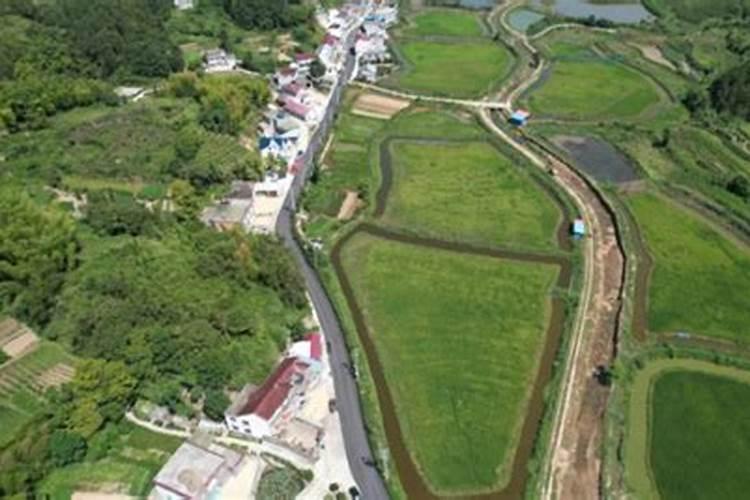 安徽太湖特产:太湖豆粑