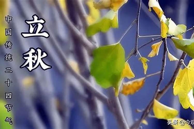 今年清明不能洗衣服吗