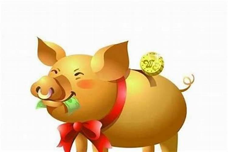 属猪的和什么属相配 相克