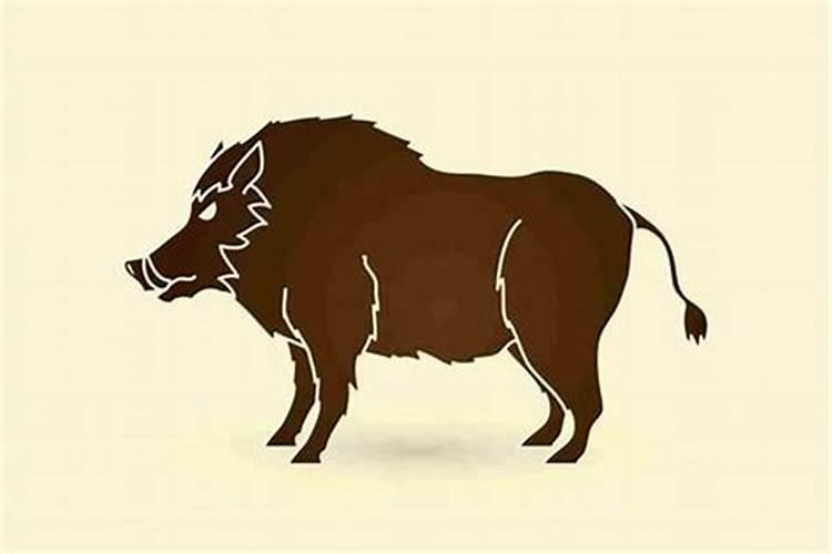 梦见死人了什么预兆