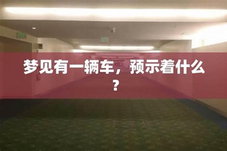 2025年属蛇人全年运势