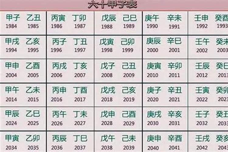 辛巳年是什么命