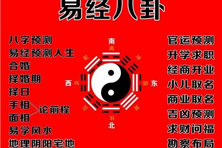 84年的鼠2025年的运势及运程
