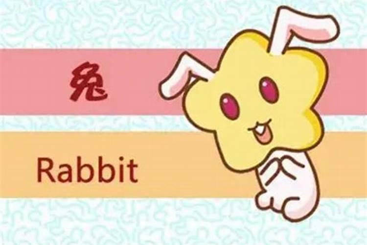 2025年属蛇人的全年运势女性