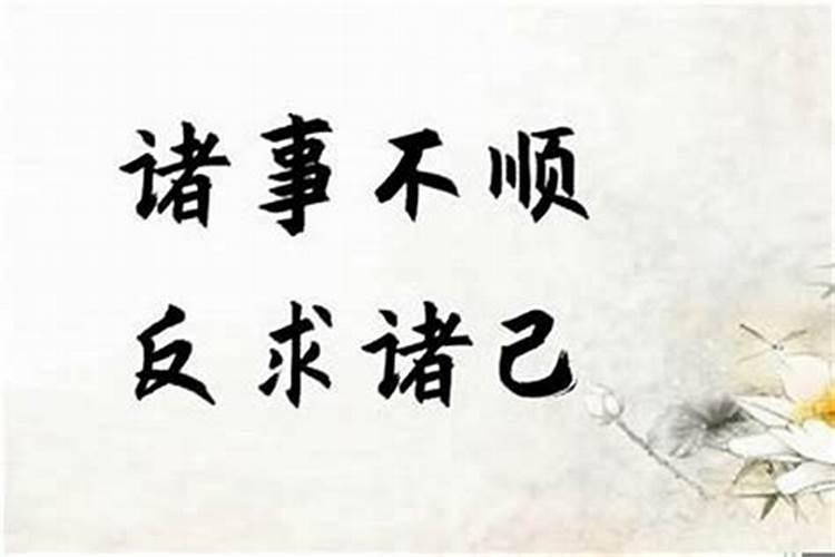 81年属鸡人在2025年的全年运势