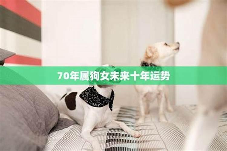 82年女狗2025农历年运势及运程每月运程