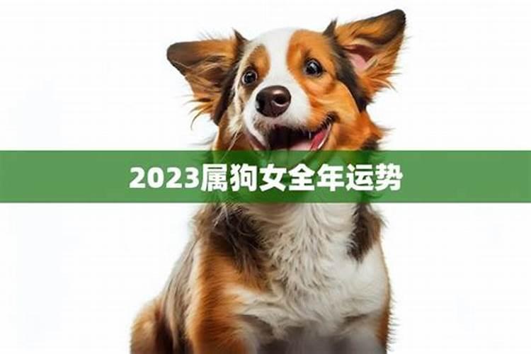 2025年82年狗女的全年运势如何
