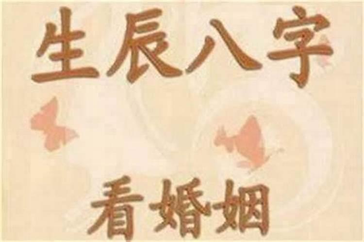 生肖牛2025年运势及运程如何