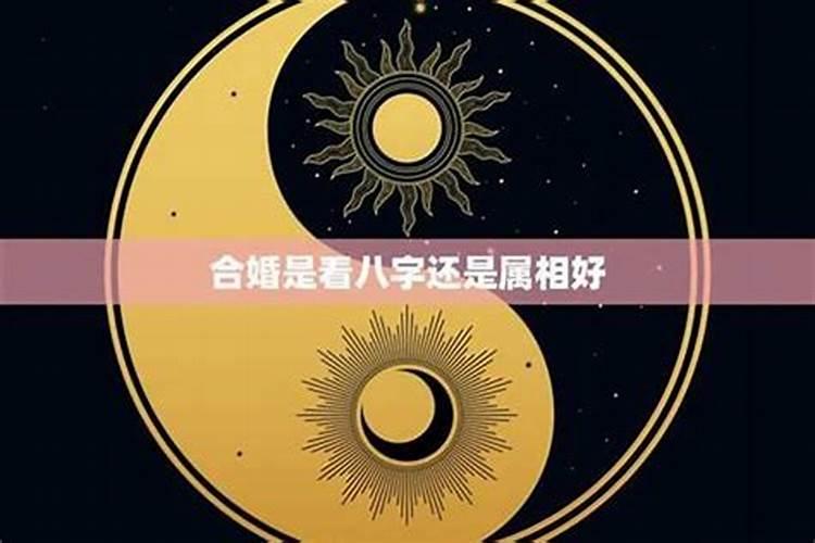 如何从八字看配偶属相 八字预测属相步骤？