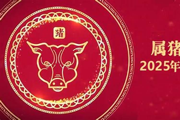 生肖猪1971年2025年运势如何 生肖猪1971年2025年全年运势