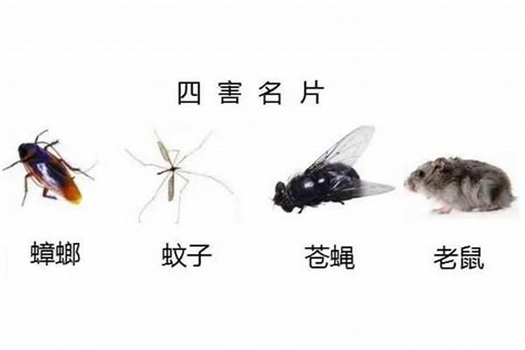 2002年属马人2025年运程