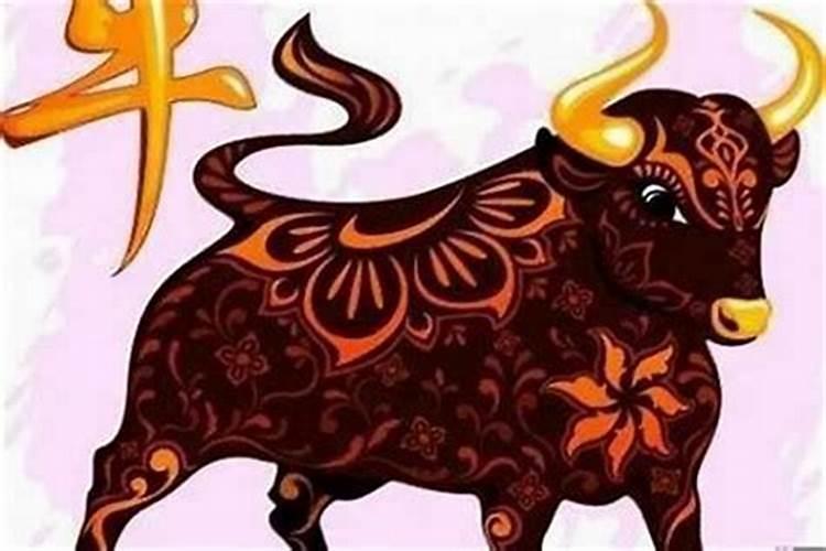 属牛的本命年该带什么好