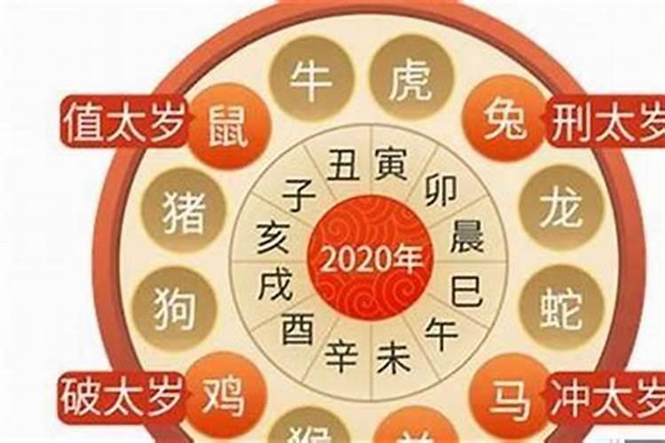 2025属猪化解破太岁最佳方法