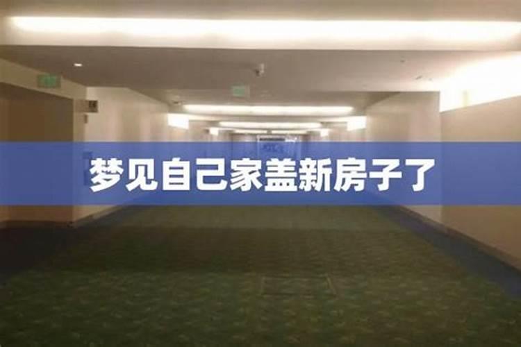 2025年属狗人的全年每月运势