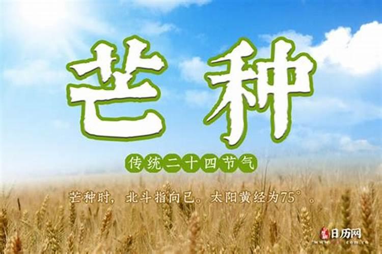 梦见死去的亲人笑是什么预兆