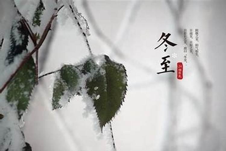 属马男和属龙女的婚姻怎么样 合吗