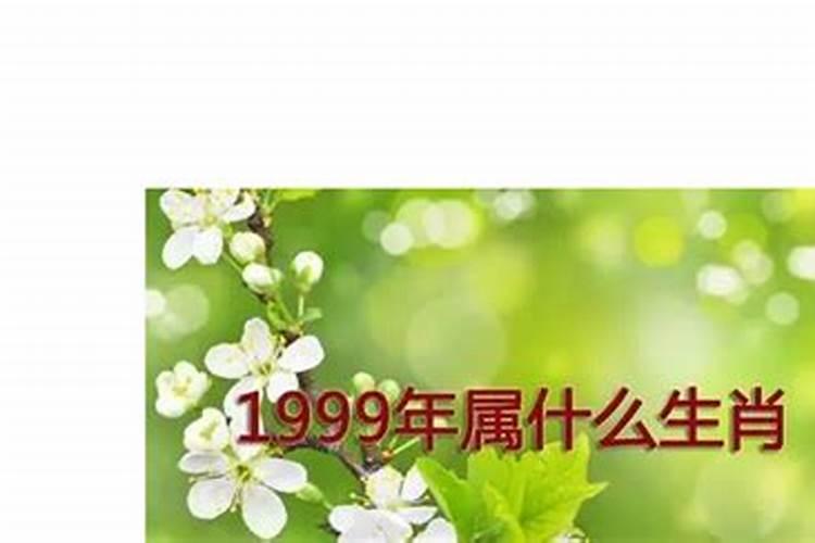 99年兔2025年运势及运程