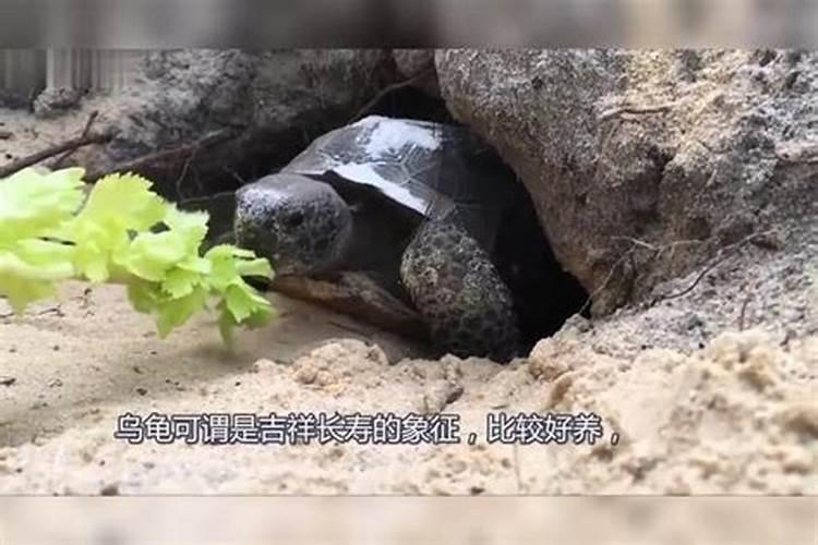 和小人翻脸之后怎么对付