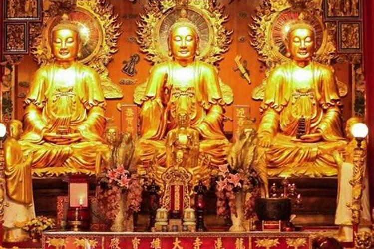 本命年适合投资做生意吗和相合生肖投资有回报？