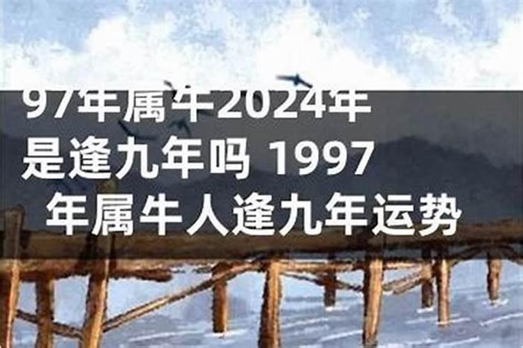 本命年逢九年可以参加白事吗要注意什么