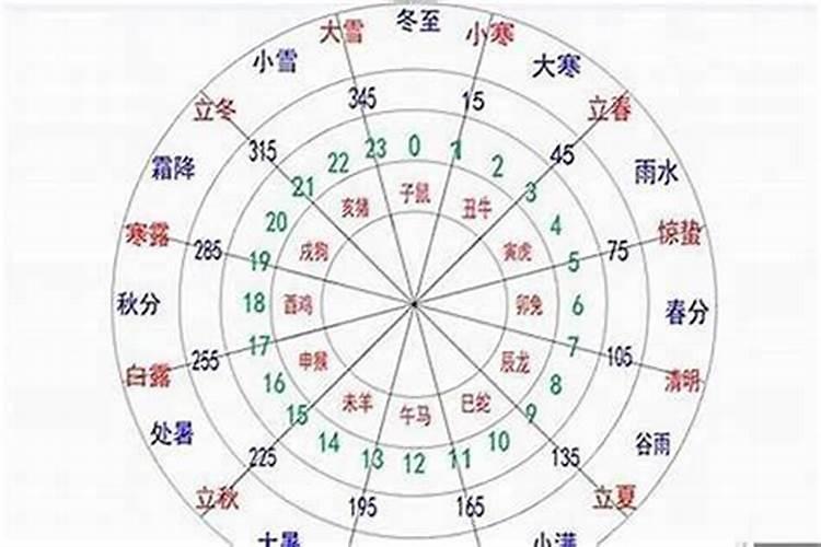 八字日支怎么看,八字看配偶长相