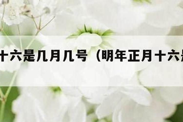 正月初一是农历的几月几日