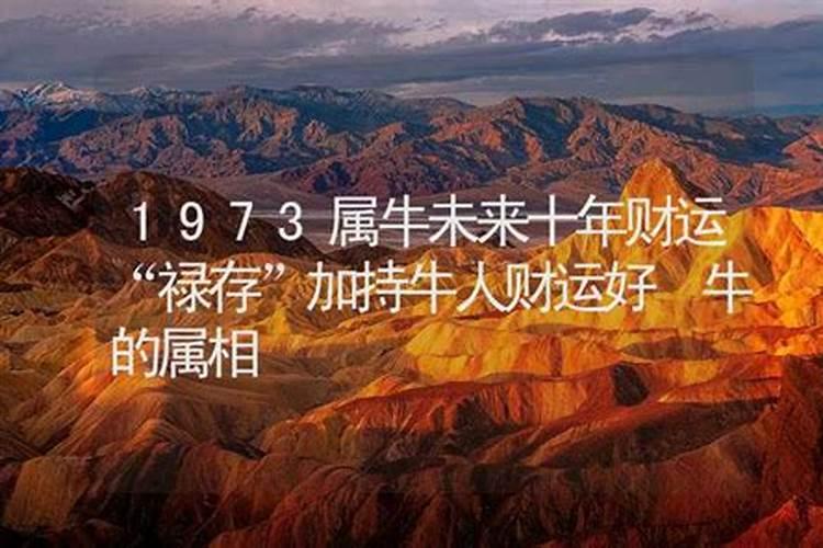 2025年属牛的全年运势